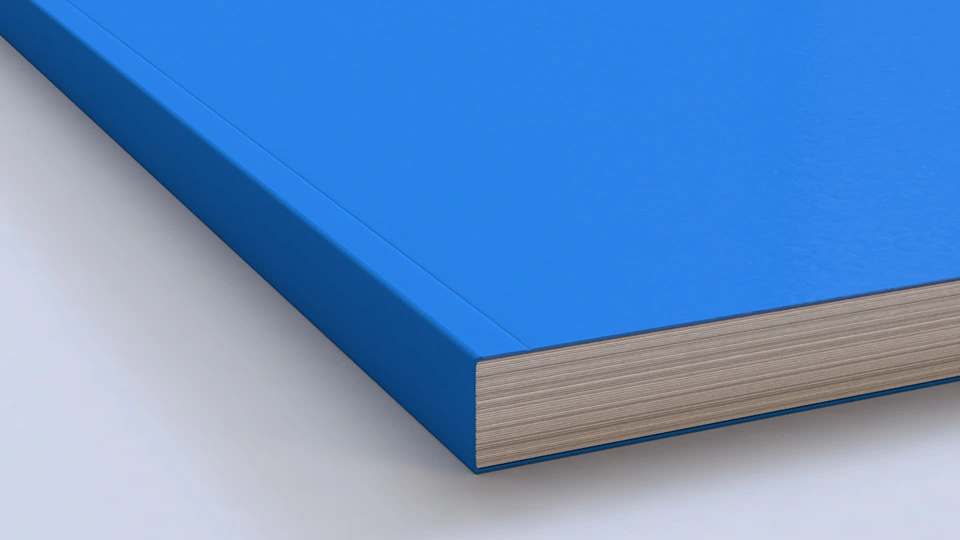 Paperback binding (PB)